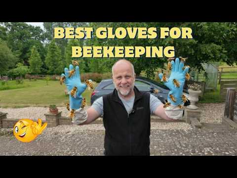 Best Gloves for beekeeping