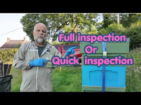 Full inspection V Quick inspection what’s the difference?