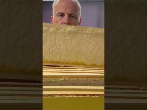 Beautiful capped frames of honey 🐝🐝