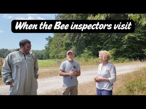 When the Bee inspectors visit