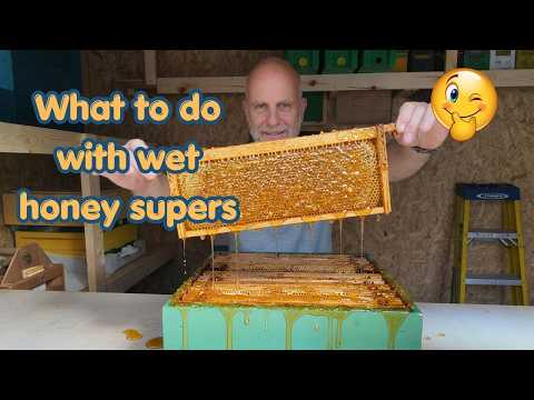 What to do with wet honey supers