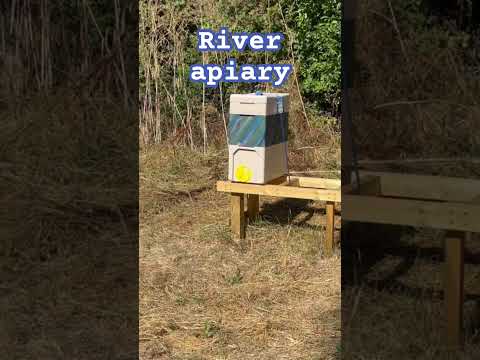 River apiary
