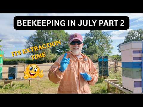Beekeeping in July Part 2
