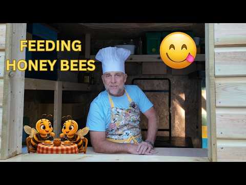 Feeding Honey Bees