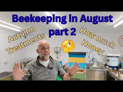 Beekeeping in August Part 2